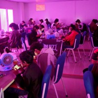 From 324 teams to 16 Teams: Westminster Showdown Enters Grand Finals Thumbnail